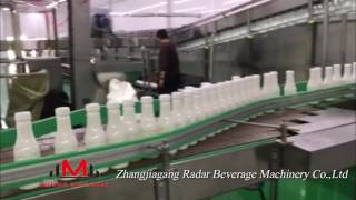 Automatic Lactobacillus Beverage Filling LineAcidophilus Milk Production Line [upl. by Amyaj]