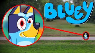 Drone Catches BLUEY IN REAL LIFE [upl. by Ilke409]