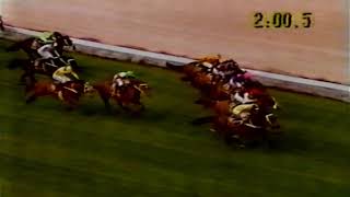 1991 MVRC MOONEE VALLEY W S COX PLATE Day Feature Races [upl. by Rialc]