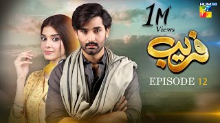 Fareb  Episode 12  23rd July 2023   Zain Baig Zainab Shabbir  Maria Wasti  HUM TV [upl. by Yelak495]