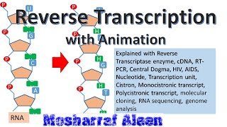 ‍রিভার্স ট্রান্সক্রিপশন কিভাবে RNA হতে DNA সৃষ্টি হয় [upl. by Yllen419]