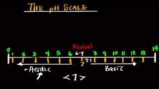 The pH Scale  Understanding the pH Scale Acids Bases and Neutral Solutions Explained [upl. by Nyved]