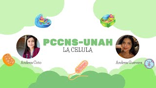 La célula I PCCNSUNAH [upl. by Nnairda]