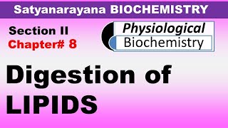 Chp8 Satyanarayana Biochemistry  LIPID Digestion and Absorption  Dr Asif Lectures [upl. by Nicol]