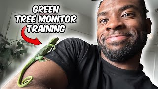 Socializing MY Green Tree Monitor  Pt1 [upl. by Ycrem]