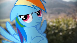 Rainbow Dashs Precious Book  Part 4 MLP in real life [upl. by Sedgewinn]