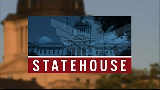 South Dakota Senate  LD 17 [upl. by Ahsikym]