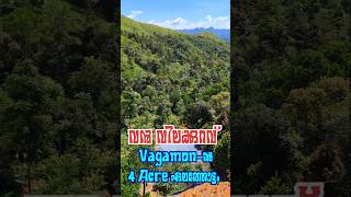 4 Acre Cardamom Plantation for Sale  Vagamon vagamon vagamonhills resort realestate kochi [upl. by Alenoel497]