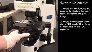 Intro to Fluorescence Microscopy [upl. by Kacerek]