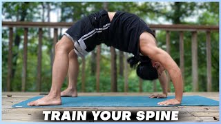 BODYWEIGHT BRIDGE Train Your Spine Reduce Back Pain Boost Athleticism [upl. by Marris]