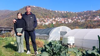 MENSO IZ POJSKA SA UNUKOM ILMOM U PLASTENICIMA PROIZVODI OD RASADA DO GOTOVOG PROIZVODA [upl. by Wyatan]