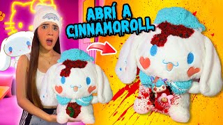 ABRÍ un PELUCHE de CINNAMOROLL y ME CONFESÓ algo ATERRADOR😨💀  Ani Cat😻 [upl. by Ylrebme258]