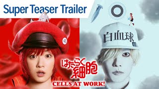 CELLS AT WORK  Super Teaser Trailer [upl. by Nala]