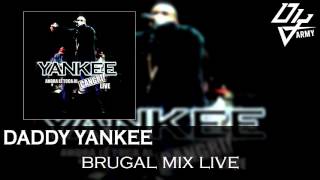 Daddy Yankee  Brugal Mix Live  Ahora Le Toca Al Cangri Live [upl. by Esertap360]