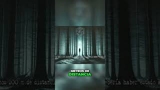 La Misteriosa Sombra en el Bosque ¿Qué Vi [upl. by Norda]