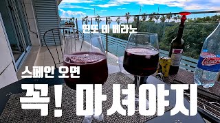 스페인 여름의 레드와인 띤또 데 베라노Tinto de verano 와인 여름 바다 음료 제조 날씨 좋은날 알콜 무설탕레스토랑 레시피 먹방 요리 메뉴 [upl. by Brandea908]