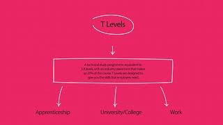 Department for Education Post16 Choices Animation [upl. by Aldus]