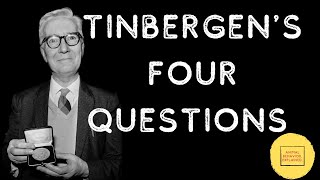 Tinbergens Four Questions [upl. by Obaza245]