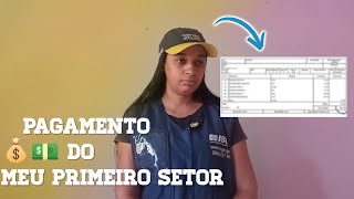 recebi meu pagamento do primeiro setor IBGE [upl. by Ainival]