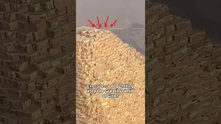 🐕 Dog Spotted on Top of Great Pyramid 😬 [upl. by Akemed]