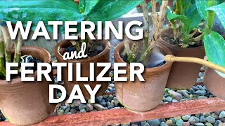 HOW I WATER AND FERTILIZE MY ORCHIDS  MY THOUGHTS ON AGGRESSIVE FEEDING  WATERING amp FERTILIZER DAY [upl. by Essirehs]