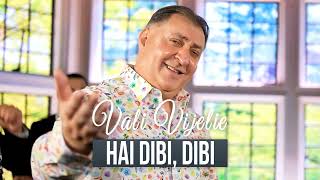 Vali Vijelie  Hai dibi dibi Official Music 2024 [upl. by Landri]