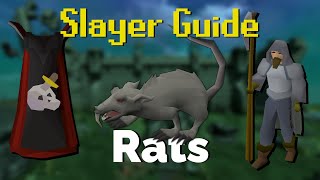 Rat Slayer Quick Guide OSRS [upl. by Malia]