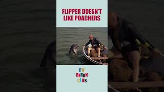 Flipper capsizes a boat 🐬 TVRerunClub Flipper Adventure [upl. by Belter]