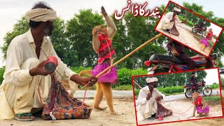 Haryanvi Bandar Bandariya Ka Khel  Comedy Video  Video Form My Phone  Funny Video Clip [upl. by Ninehc]