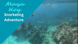 Snorkeling at Maya Key in Mahogany Bay Roatan Honduras 2024 [upl. by Reisfield]