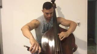 Chopin Revolutionary Etude on Bass [upl. by Einnaej]