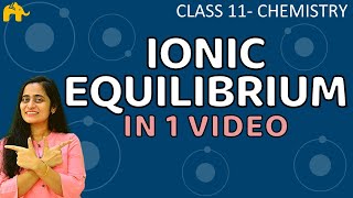 Ionic Equilibrium Chemistry Class 11 Chapter One Shot CBSE NEET JEE [upl. by Leverick]