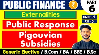 Pigouvian Subsidies  Public Response  Externalities  Public Finance GE  Bcom H GE amp BA Sem 46 [upl. by Attenweiler]