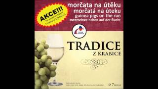 Morčata na útěku  Strastiplná cesta Dilda Pytlíka  Dovnitř a zas zpátky Tradice z krabice 2013 [upl. by Nnylhsa]