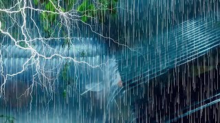 Torrential Rain and Thunderstorm Sounds for Instant Sleep on a Stormy Night [upl. by Previdi205]