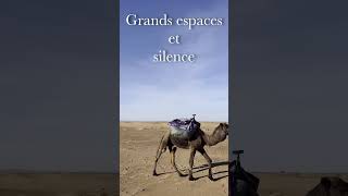 Méditation et marche dans le désert du Sahara au Maroc avec Wakan meditation desert marche [upl. by Scherle317]