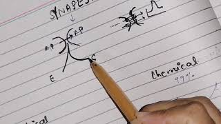 Synapse function  types of synapse Neurophysiology guyton 46 [upl. by Siro]