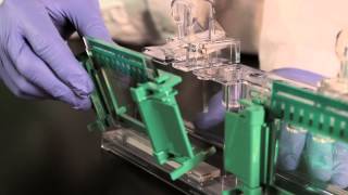 Quick Tips How to Load a MiniPROTEAN TGX StainFree Gel for Electrophoresis [upl. by Hplodnar]