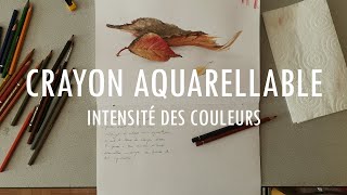 Crayon aquarellable  possibilités infinies amp intensité des couleurs [upl. by Uoliram]