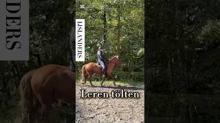 Leren tölten op een IJslander horsetrainer horse horsetraining equestrian horseriding paarden [upl. by Leigh]