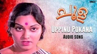 Choola  Uppinu Pokana  A Timeless Classic Melody  Jency amp Lathika  M Ravindaran Malayalam Song [upl. by Ilac]