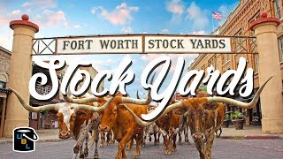 Fort Worth Stockyards  Cowboy Experience [upl. by Bard196]