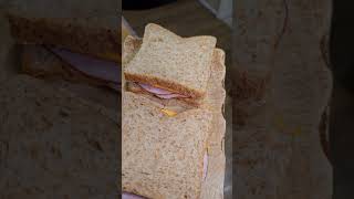 Sandwiches im OptiGrill Elite schnell einfach  lecker [upl. by Abigail]