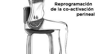 HIPOPRESIVOS Efectos de los Hipopresivos II Reprogramación Abdominal [upl. by Reggis]