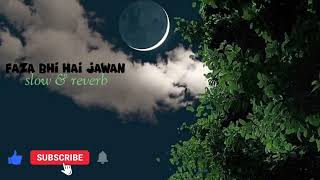 Faza bhi hai jawan jawan  slow and reverb  slowedandreverb lofimusic lofi asthetic song [upl. by Moyer858]