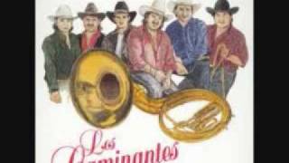 los caminantes con banda las bicicletas0001wmv [upl. by Flosi]