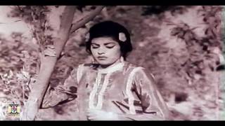 MAHI VE SANU PUL NA JAVI Super Hit  NOOR JEHAN  PAKISTANI FILM MALANGI [upl. by Ztirf]