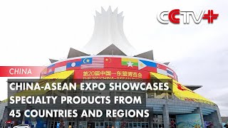 ChinaASEAN Expo Showcases Specialty Products from 45 Countries and Regions [upl. by Atikin94]