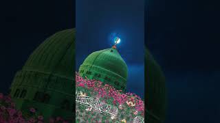 Burkanum Burkanum  Ahrarun Ahrarun subscribe shorts youtubeshorts islamicvedios11 l nature [upl. by Alexandra]