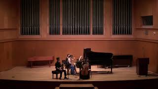 smetana piano trio in g minor op15 1st movement 201903 [upl. by Junno]